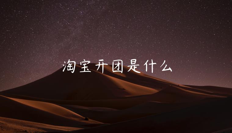 淘寶開團(tuán)是什么